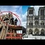 Les charpentiers de  notre dame